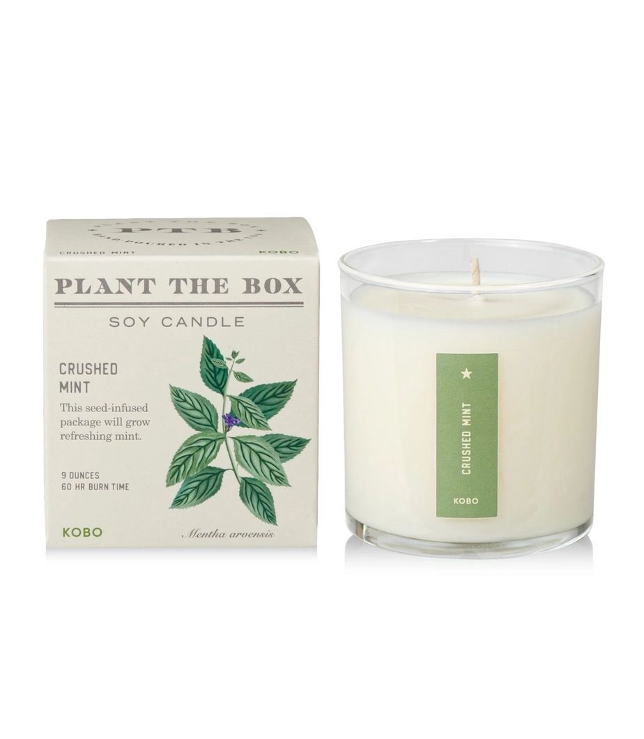 Crushed Mint Plant The Box Candle