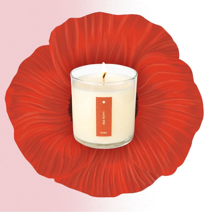 Ripe Watermelon Plant The Box Candle