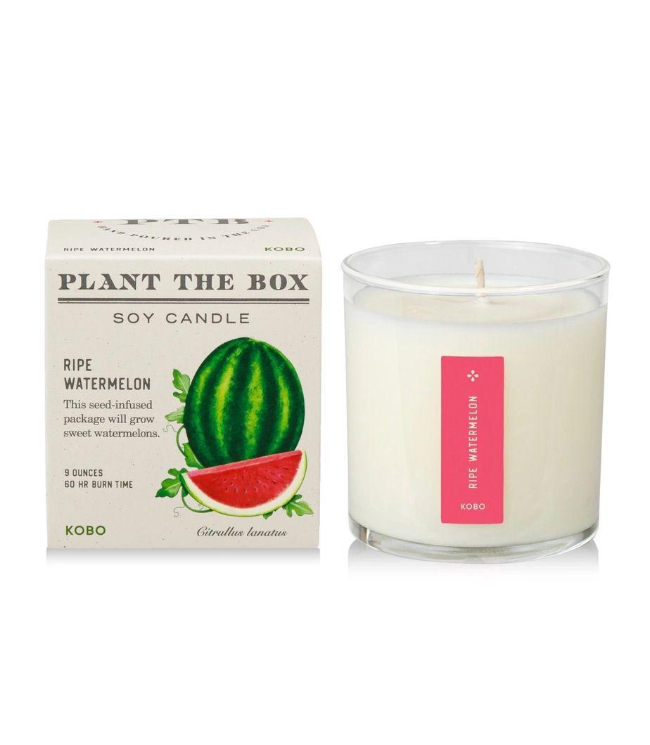 Ripe Watermelon Plant The Box Candle