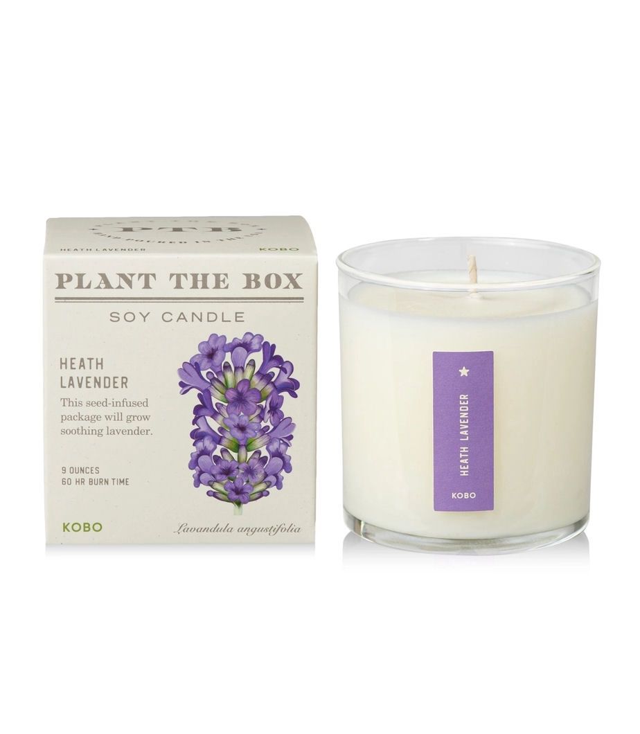 Heath Lavender Plant A Box Candle