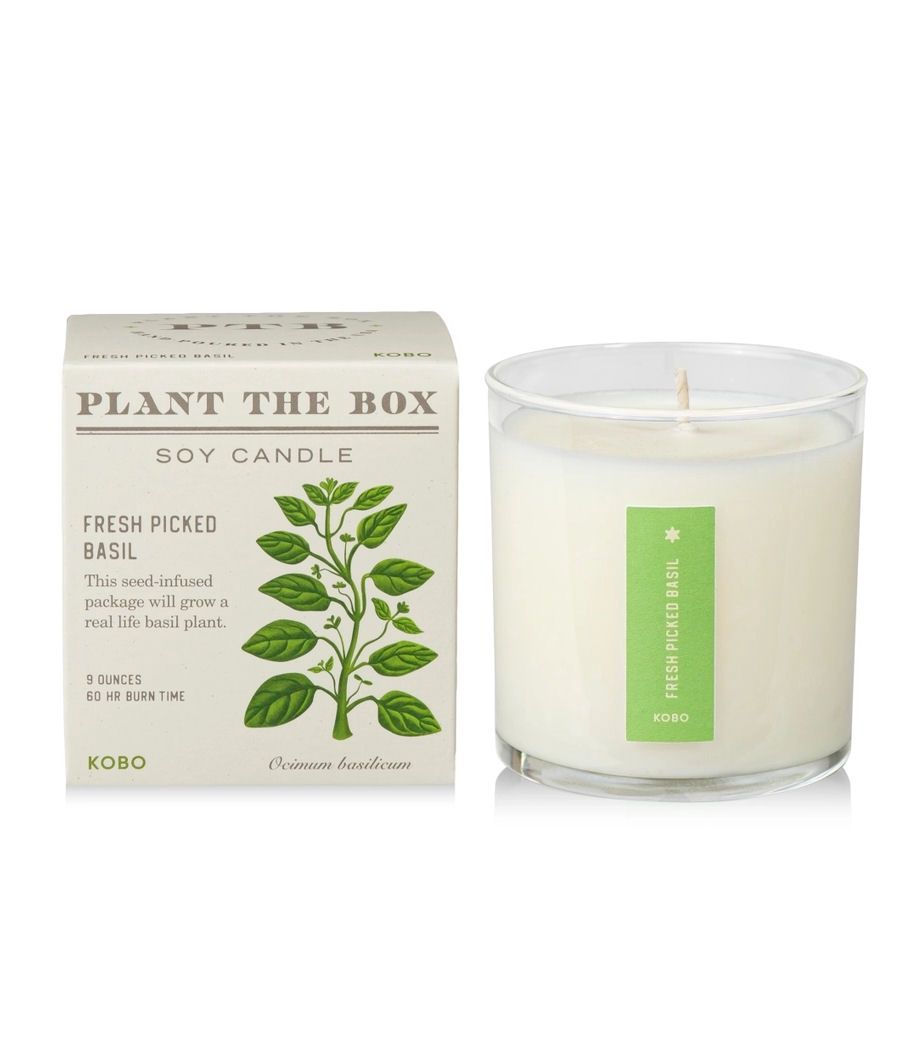 Fresh Picked Basil Plant The Box Candle