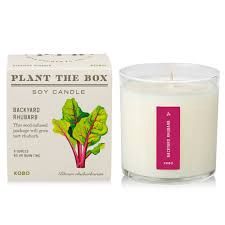 Backyard Rhubarb Plant The Box Candle