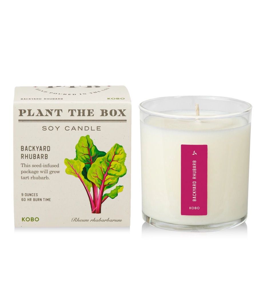 Backyard Rhubarb Plant The Box Candle