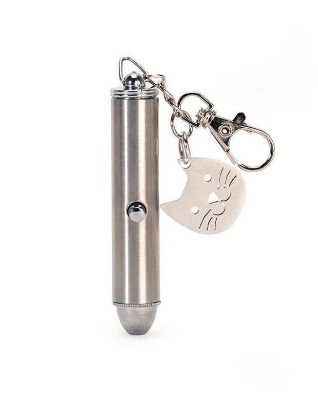 Rechargeable Cat Laser Pointer