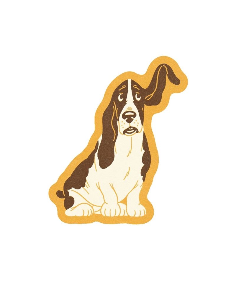 Basset Hound Sticker