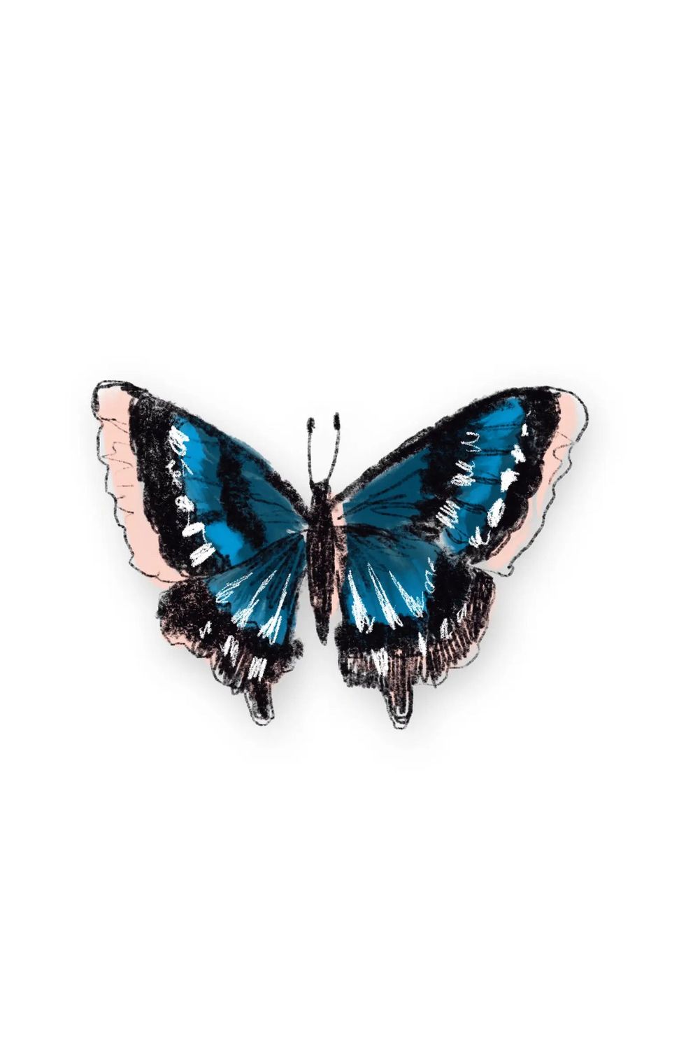 Butterfly Sticker
