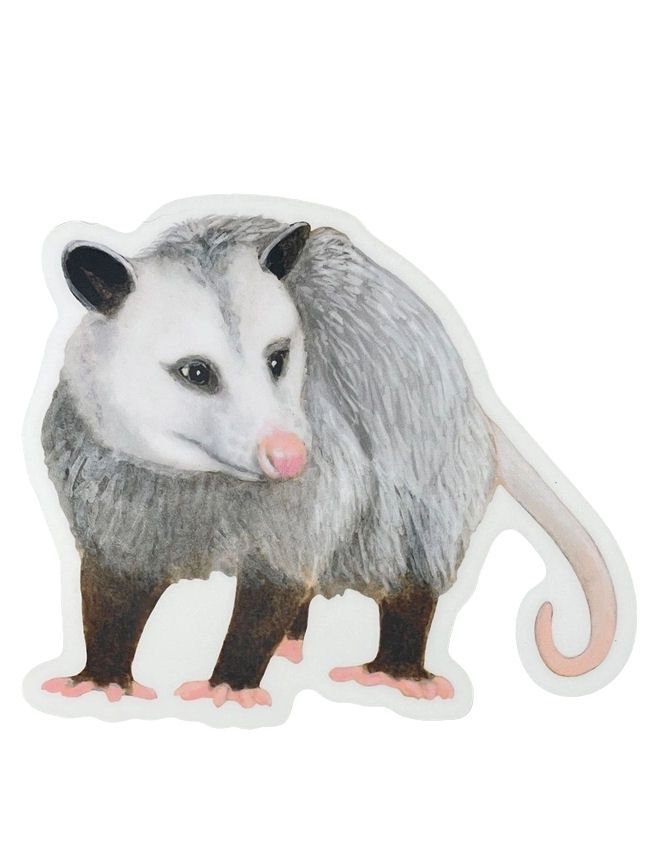 Just A Regular Opossum Sticker