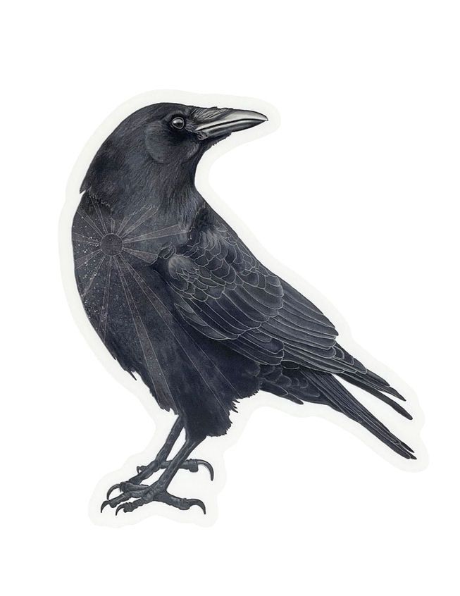 Crow Sticker