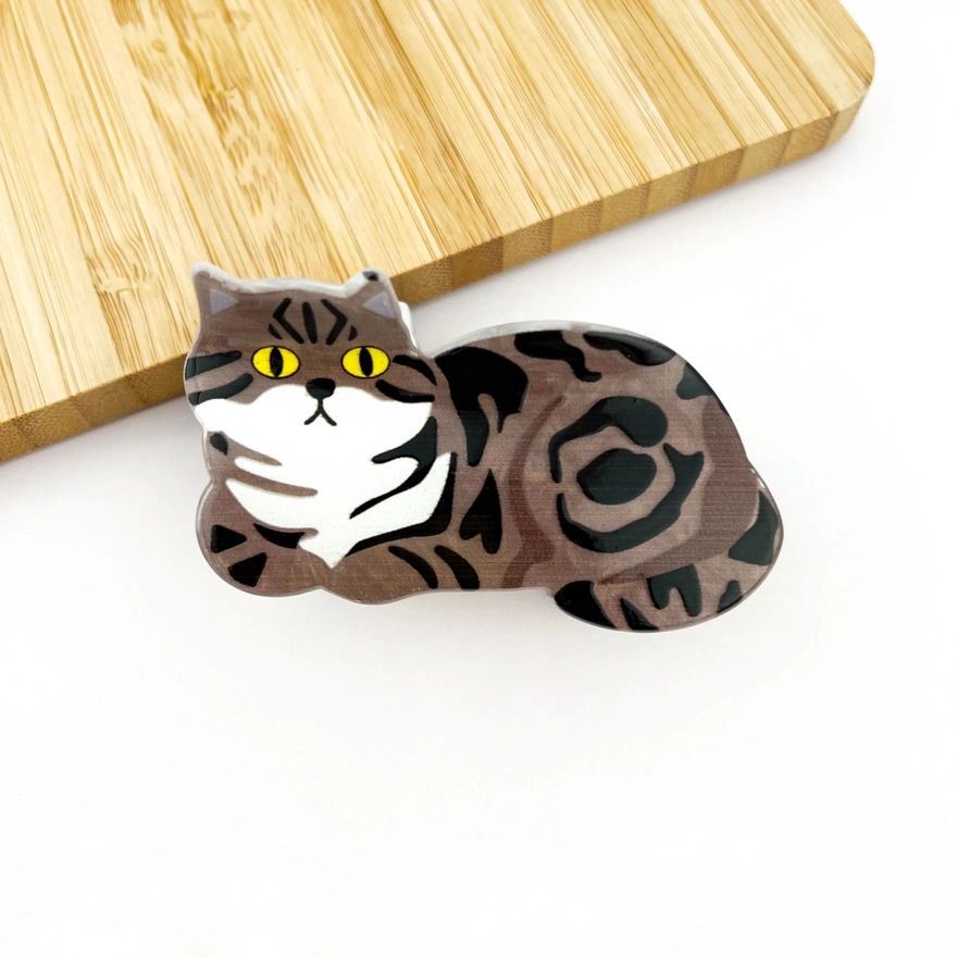 Cute Grey Tabby Cat Hair Claw Clip