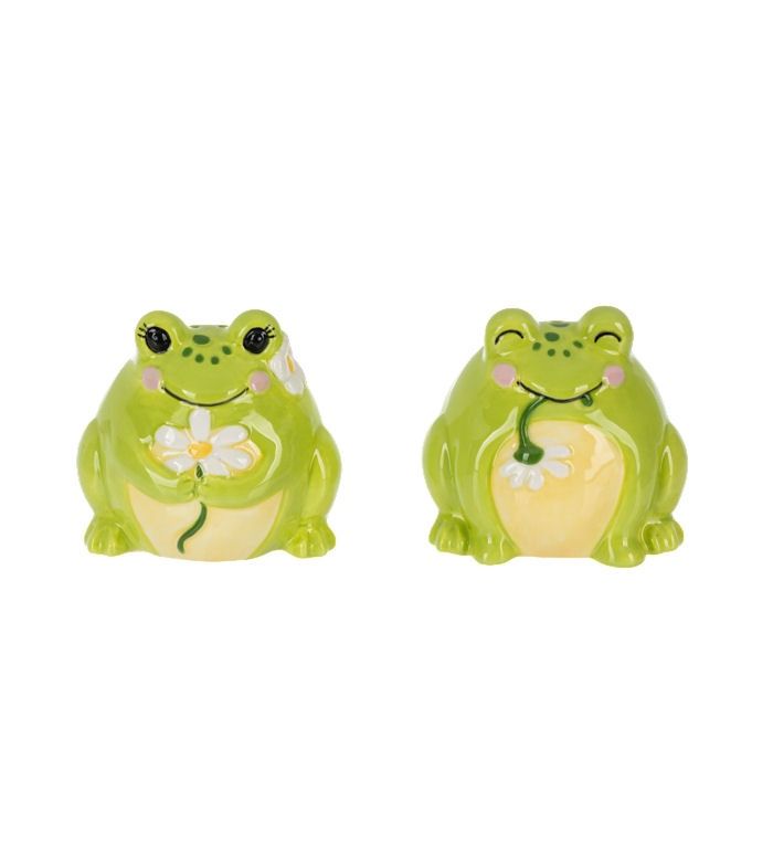 Frog And Flower Salt And Pepper Shaker Set