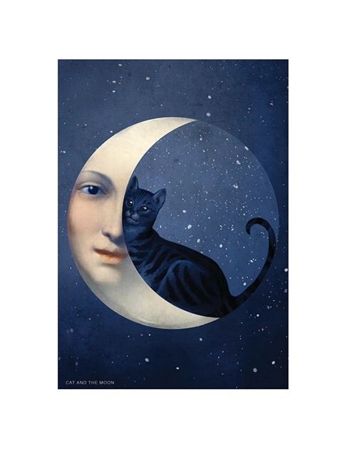 The Cat And The Moon Card