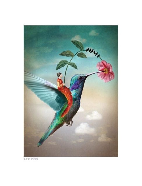 Six Of Wands Hummingbird Card