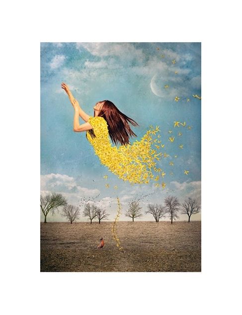 Forsythia Leviosa Card