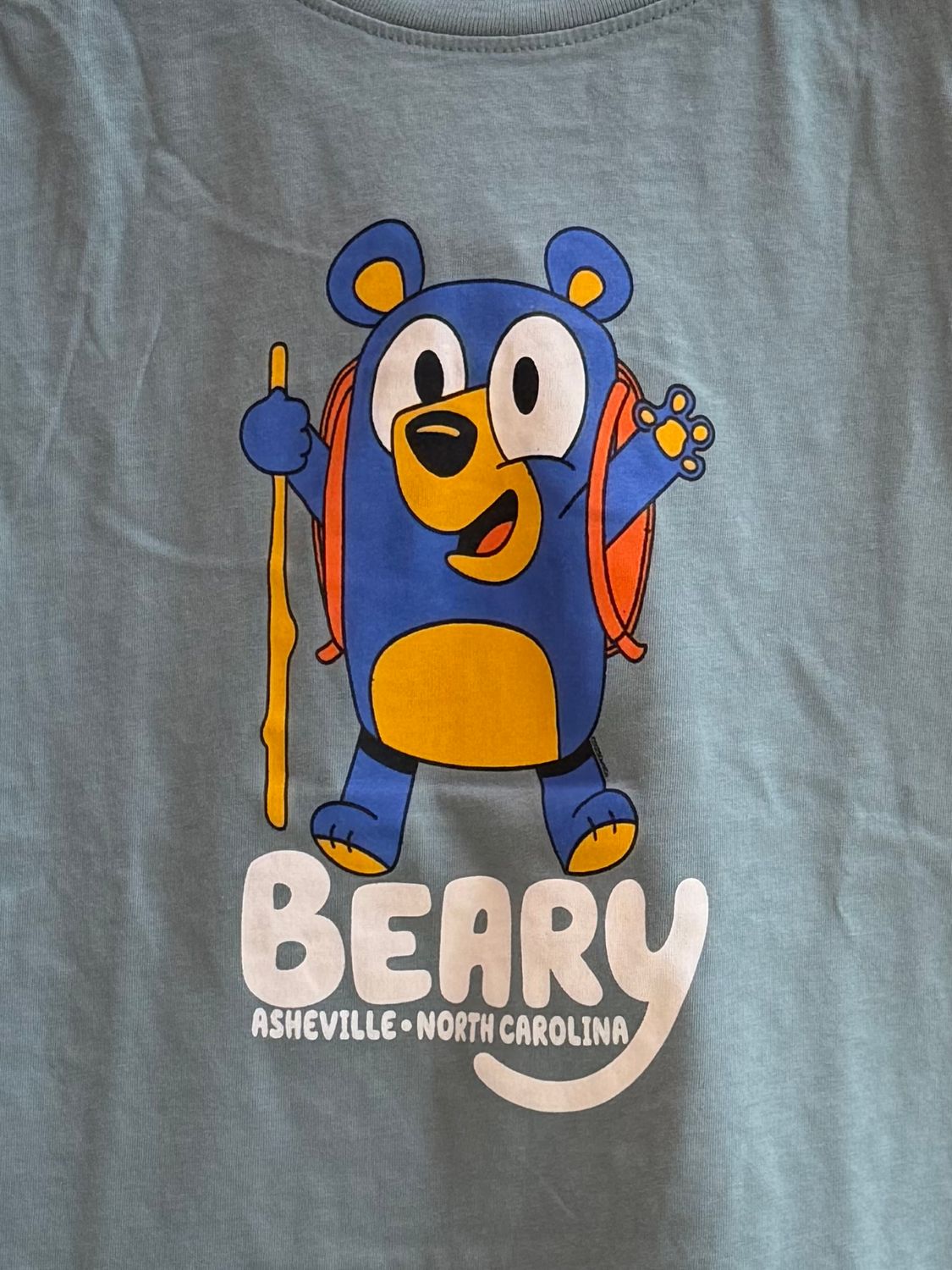 Beary Asheville, North Carolina Kids T-Shirt, Size: X-Small