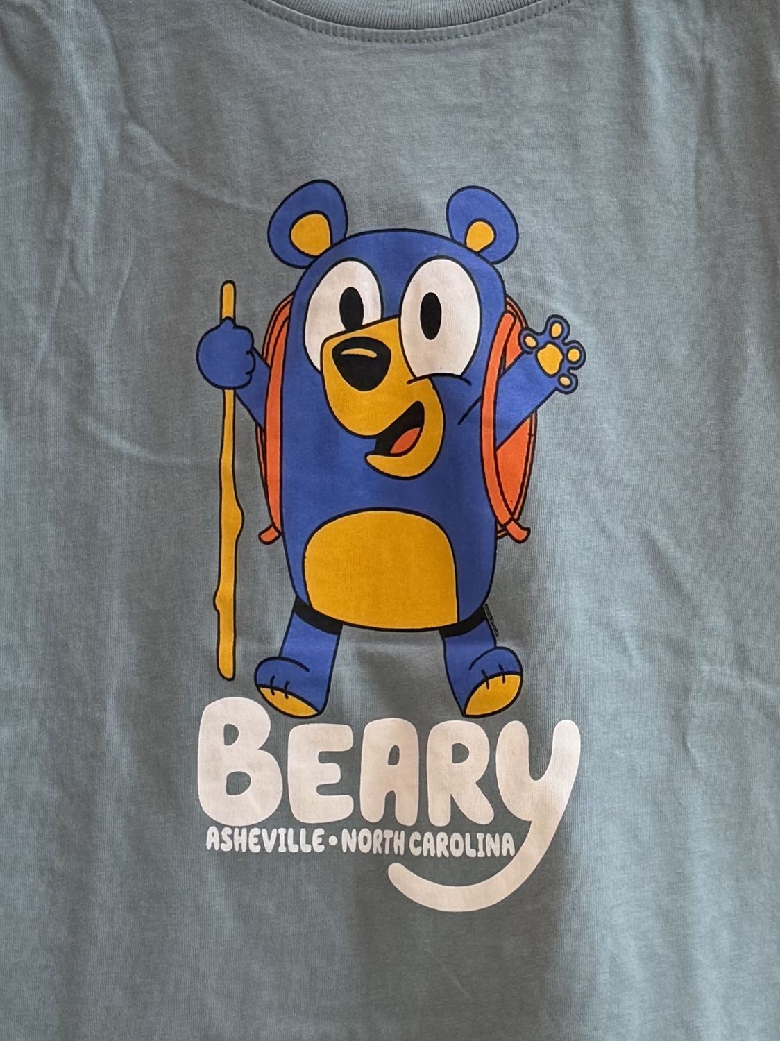 Beary Asheville, North Carolina Kid's T-Shirt, Size: X-Small