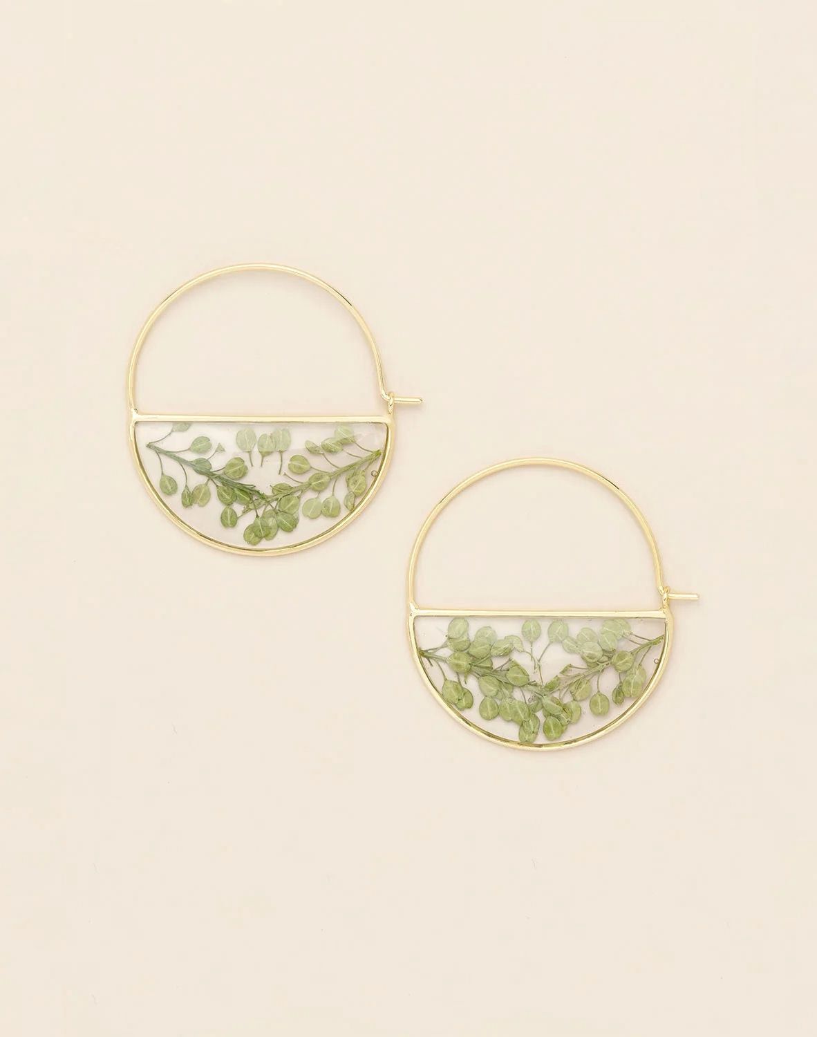 Pressed Flower Green Peppergrass Gold Hoop Earrings