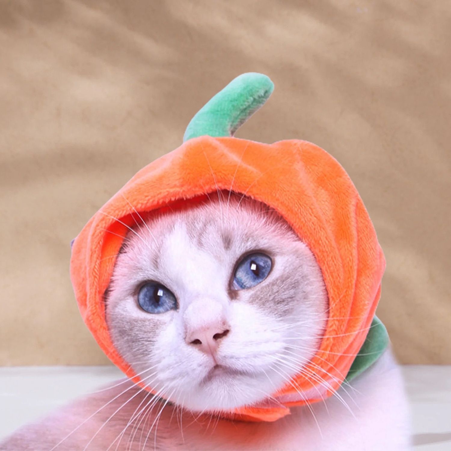 Fruit-Shaped Orange Cat Hat