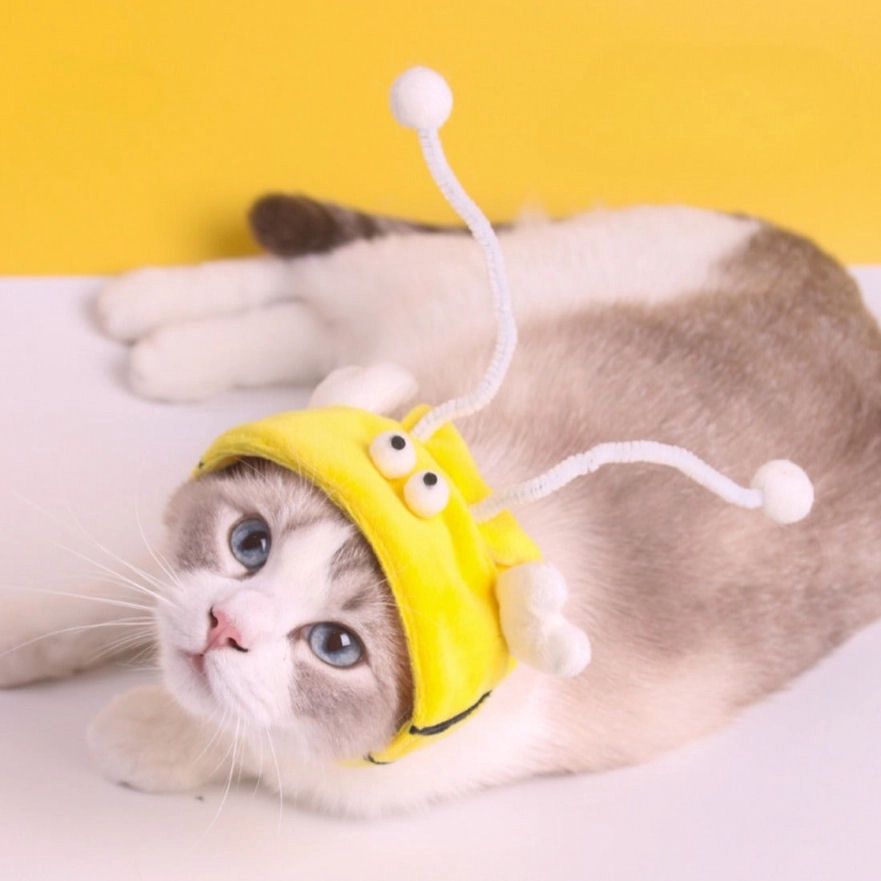 Yellow Monster Cat Hat
