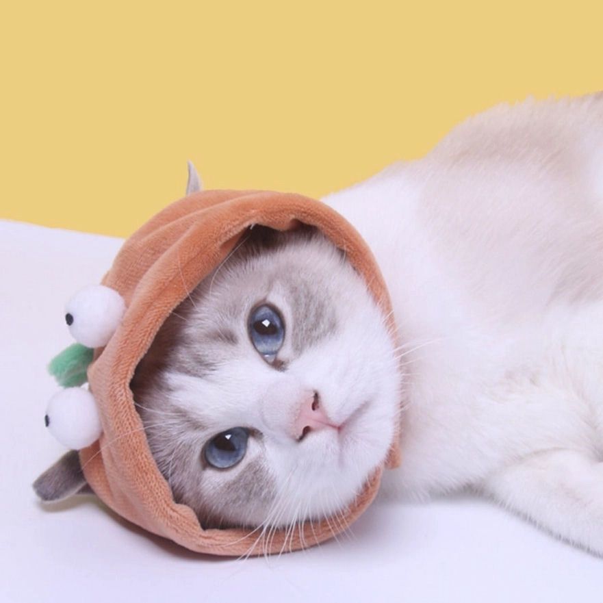 Dinosaur Cat Hat