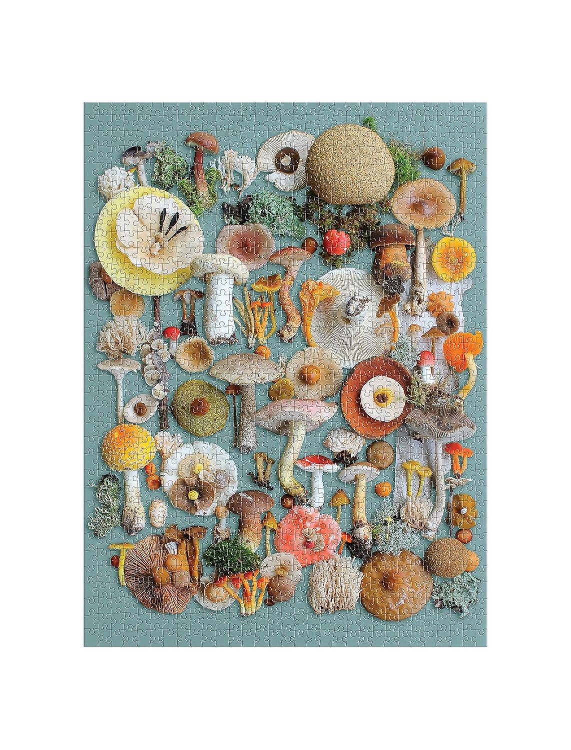 Foraged Mushroom 1000 Piece Puzzle