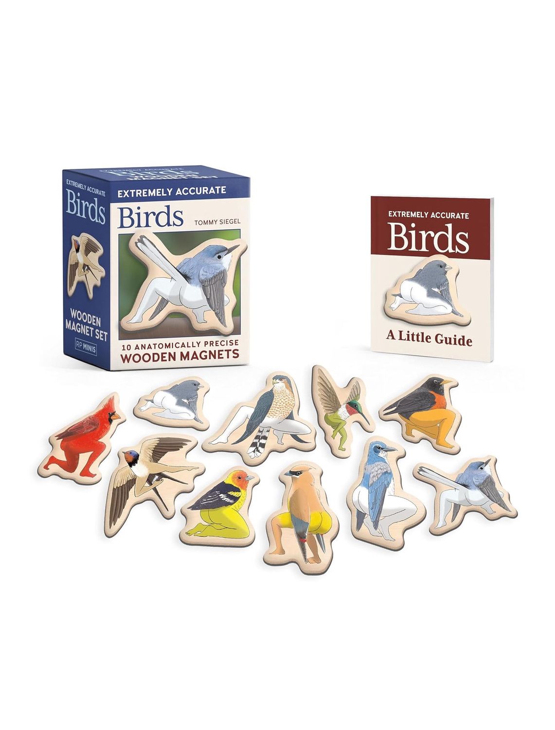 Extremely Accurate Birds Wooden Magnets Set