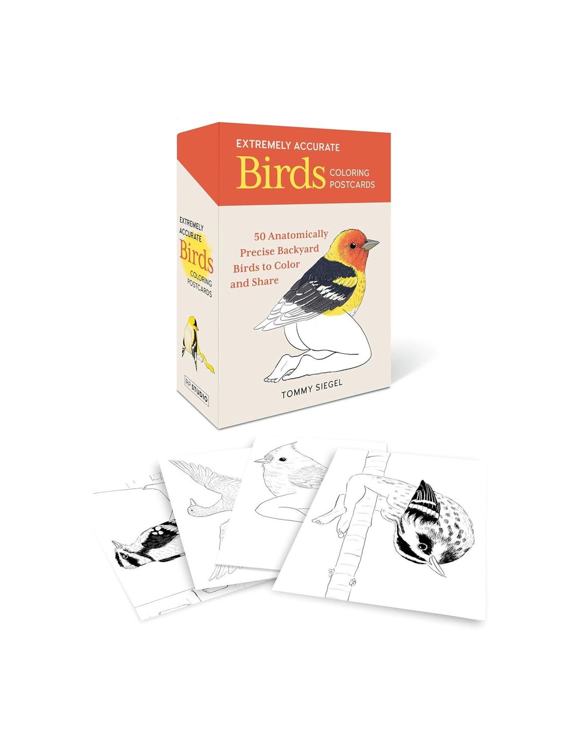 Extremely Accurate Birds Coloring Postcards