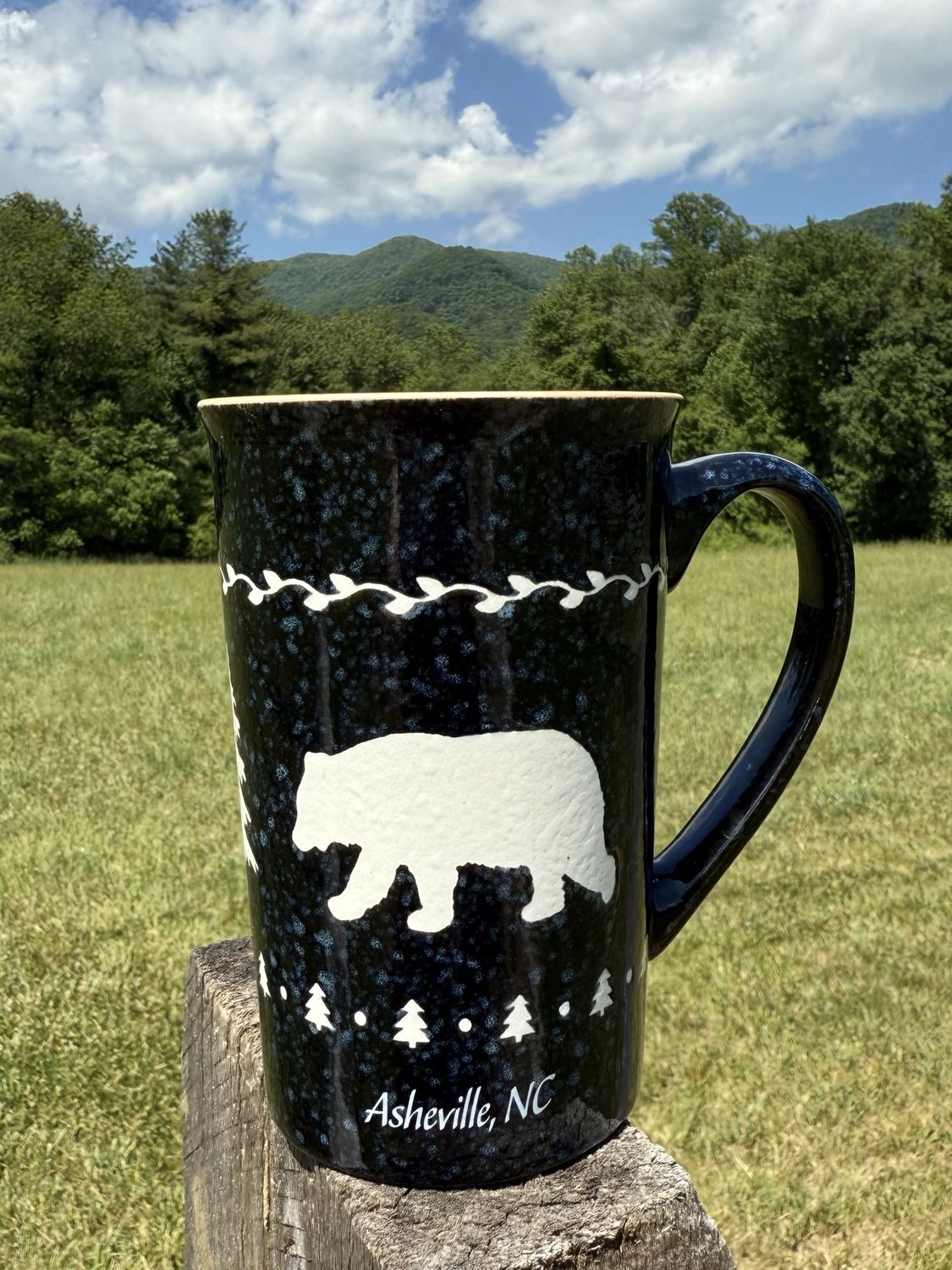 Asheville NC Alpine Bear Tall Mug