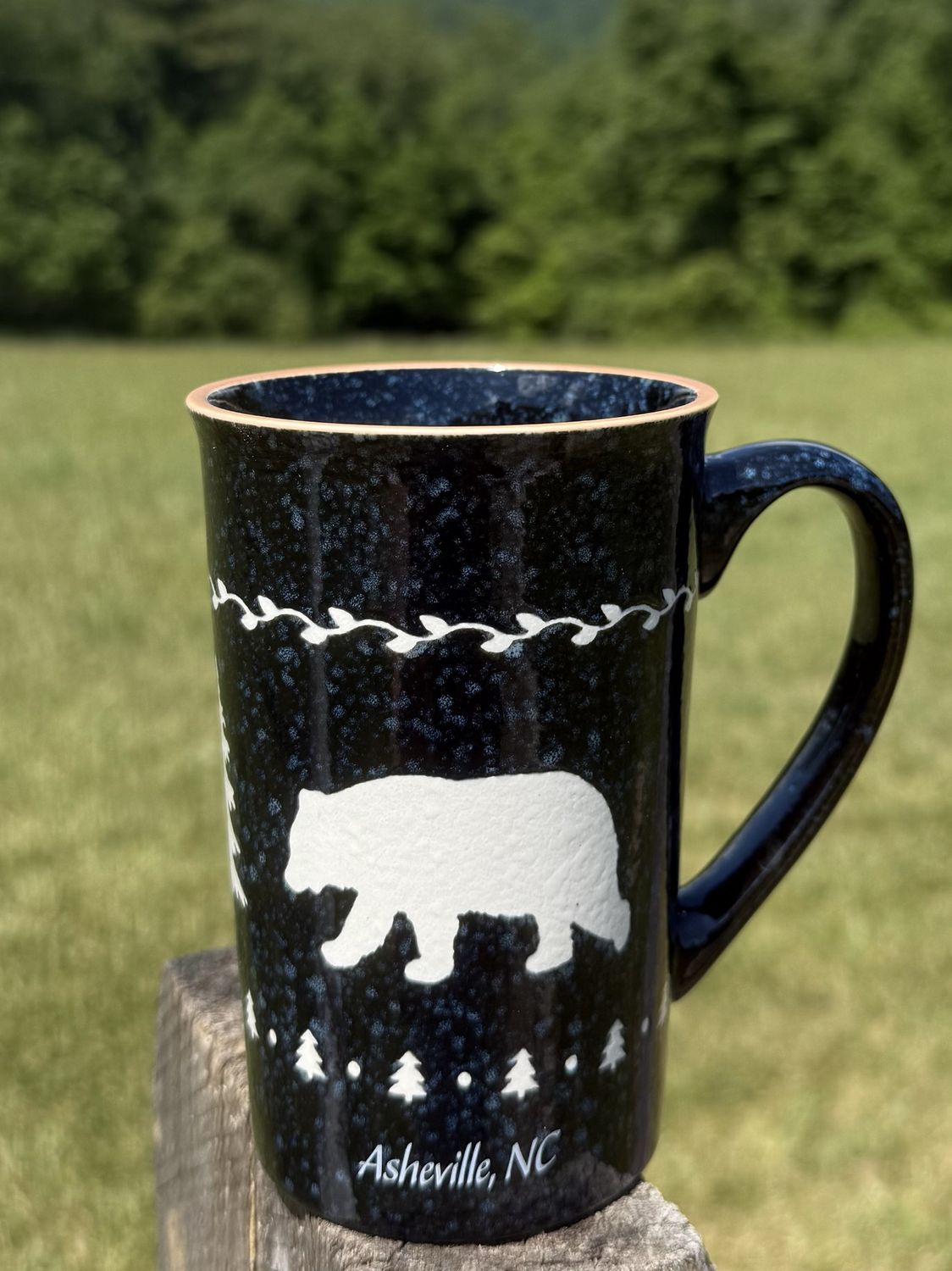 Asheville NC Alpine Bear Tall Mug