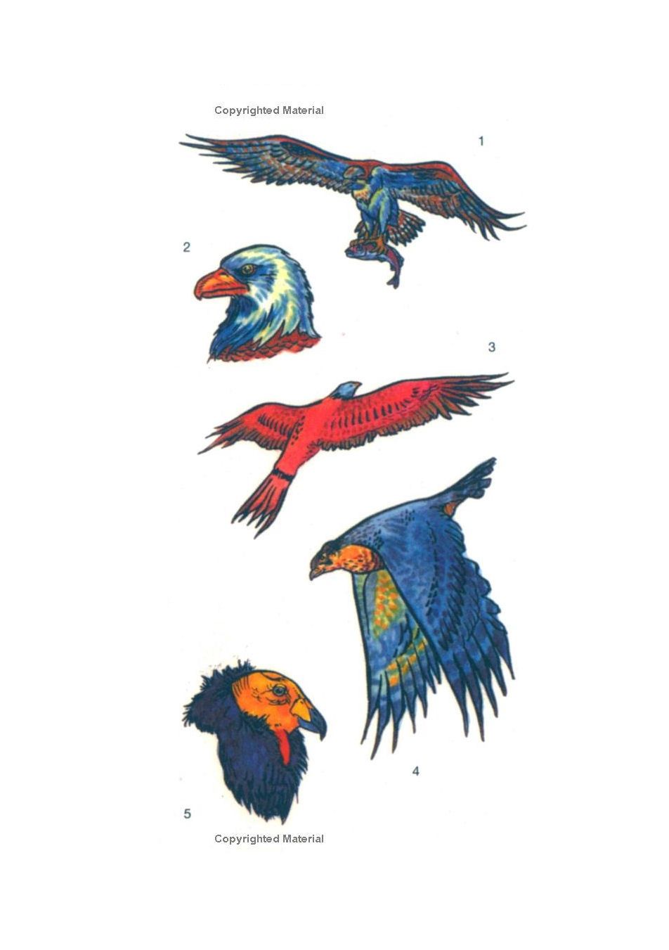 Birds Of Prey Tattoos