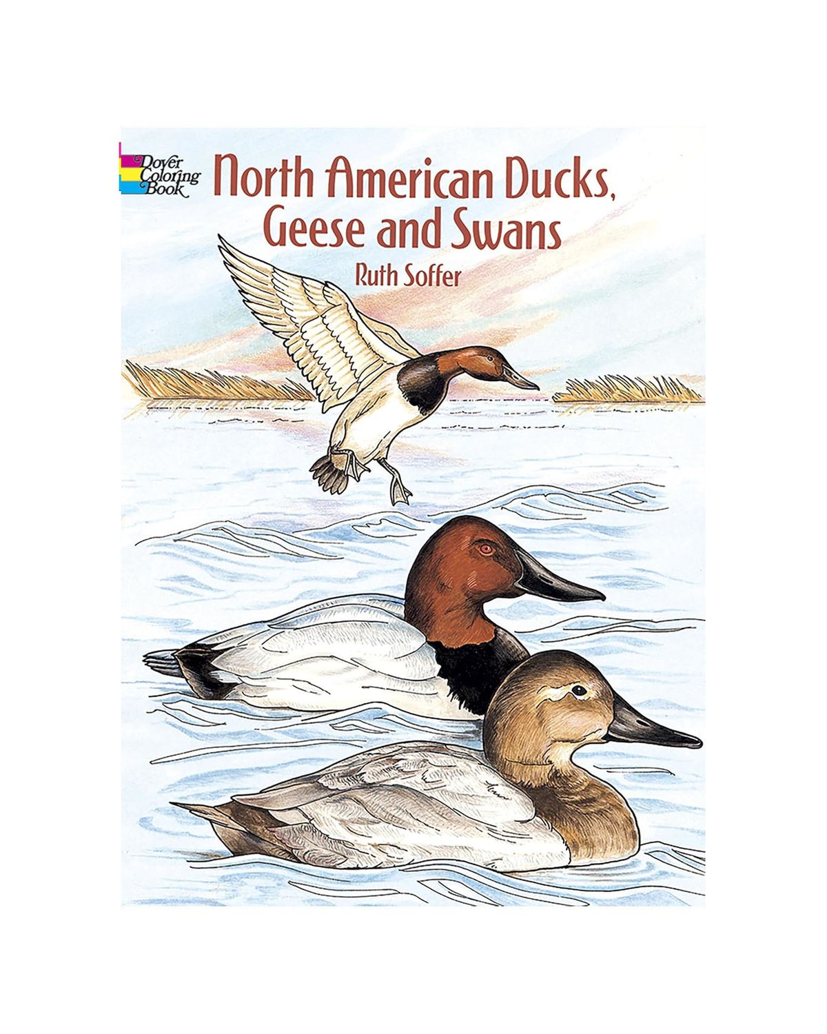 North American Ducks, Geese, And Swans Coloring Paperback Book