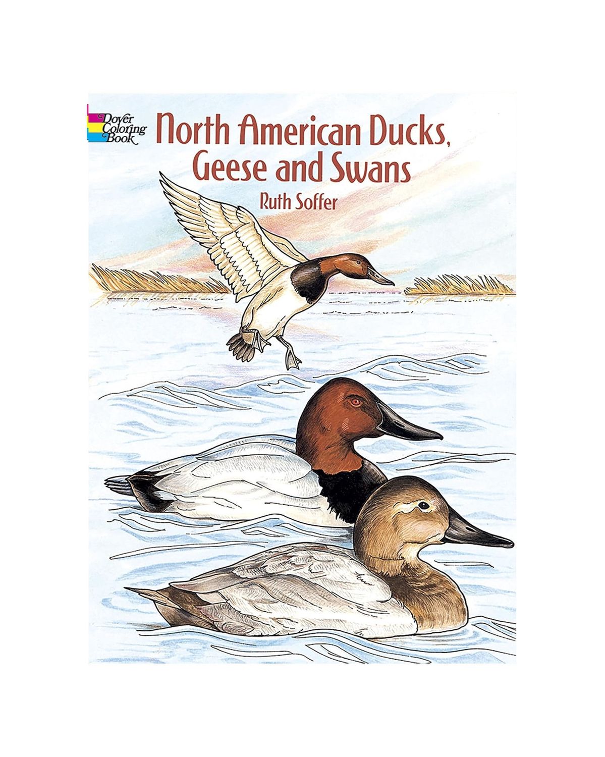 North American Ducks, Geese, And Swans Coloring Paperback Book