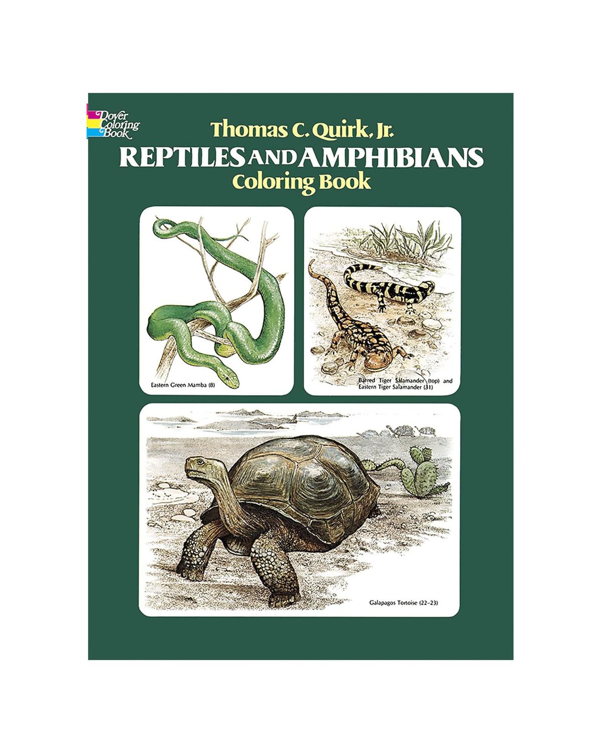 Reptiles And Amphibians Coloring Paperback Book