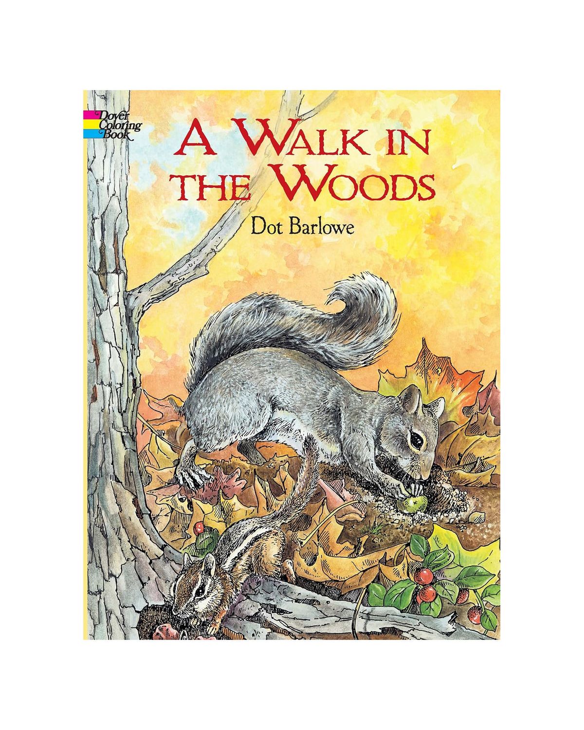 A Walk In The Woods Coloring Paperback Book