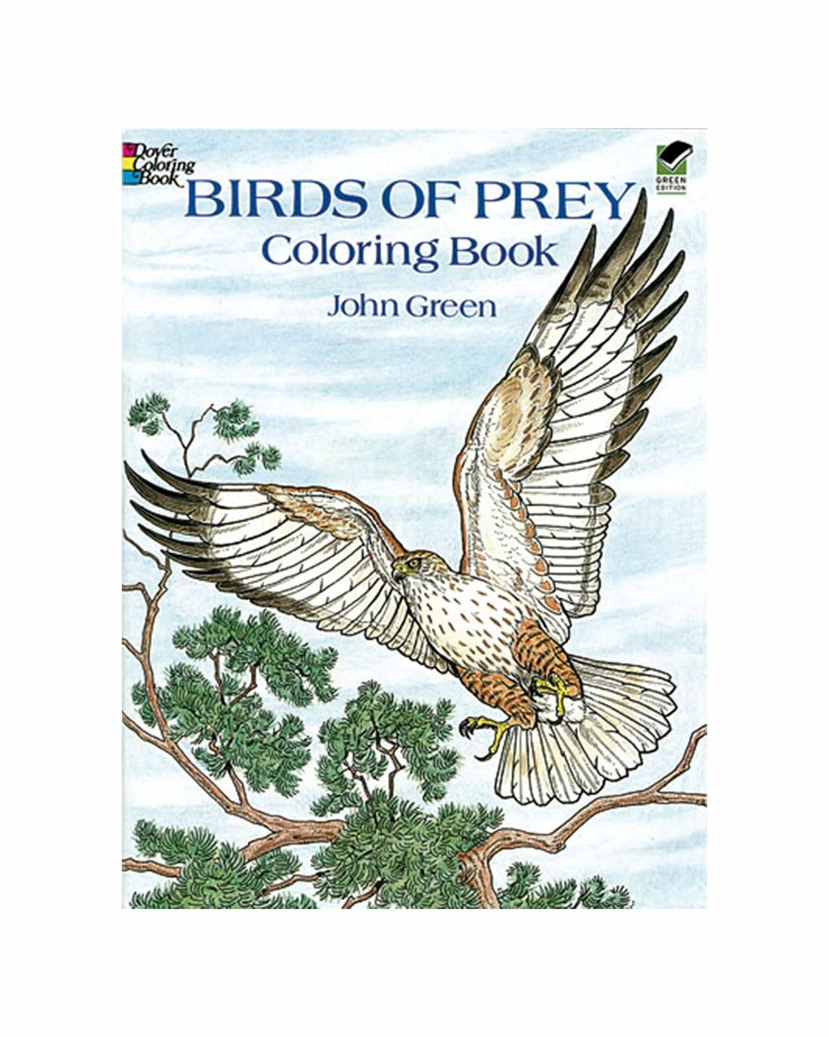 Birds Of Prey Coloring Paperback Book