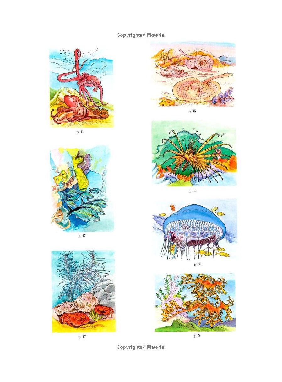 Coral Reef Coloring Paperback Book