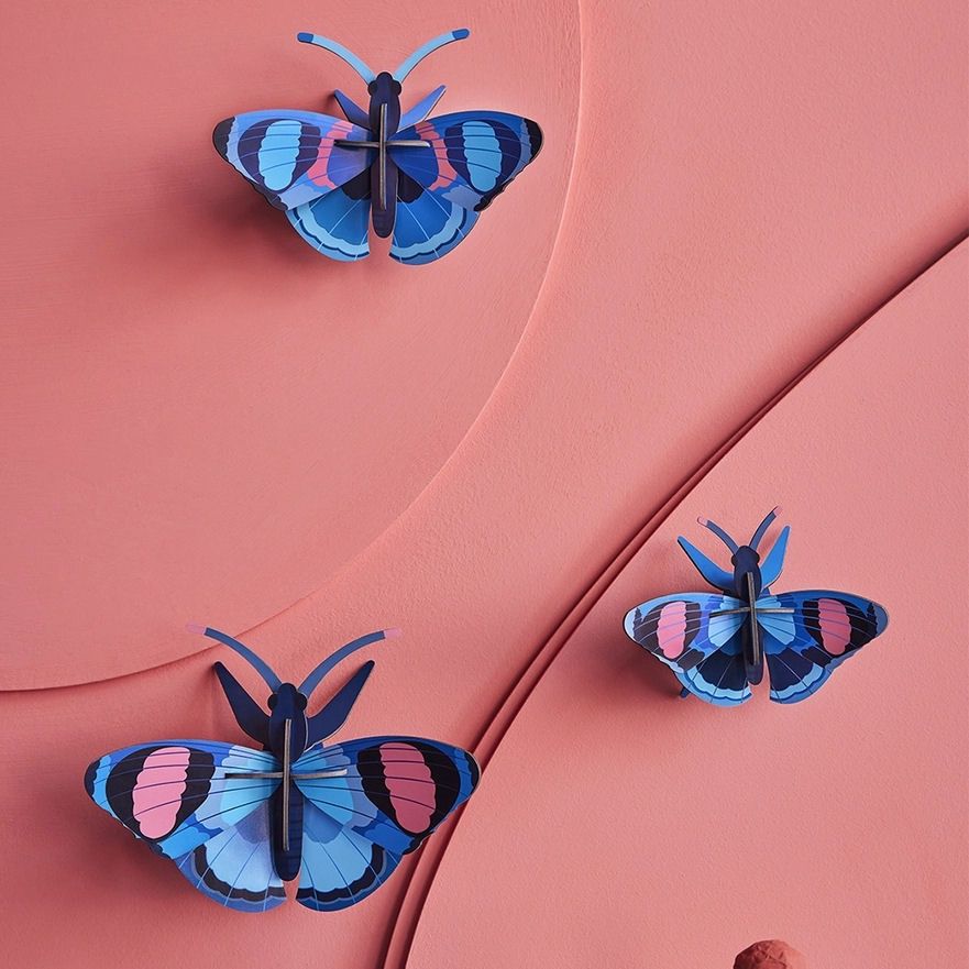 Peacock Butterflies Wall Art Set Of 3