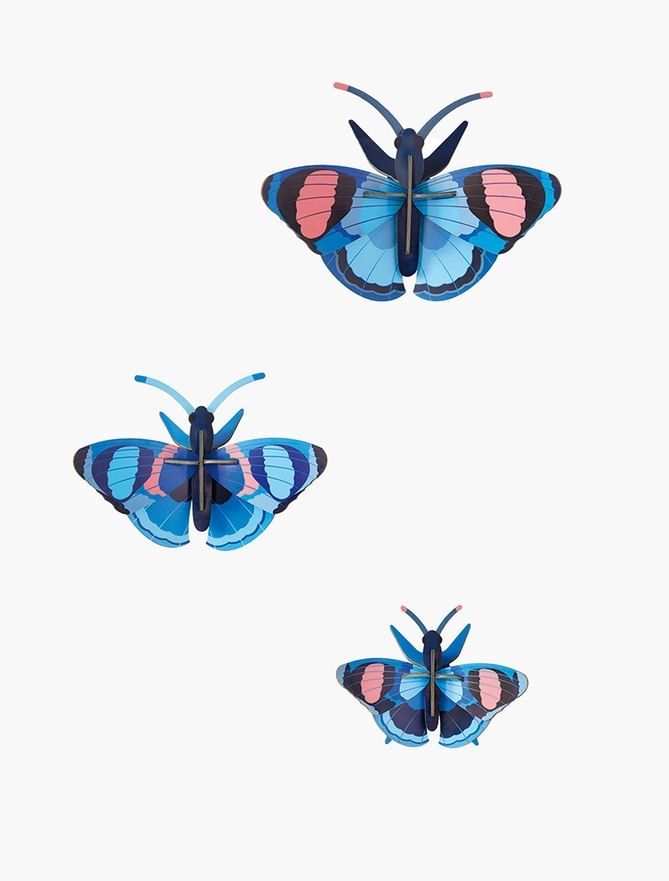 Peacock Butterflies Wall Art Set Of 3