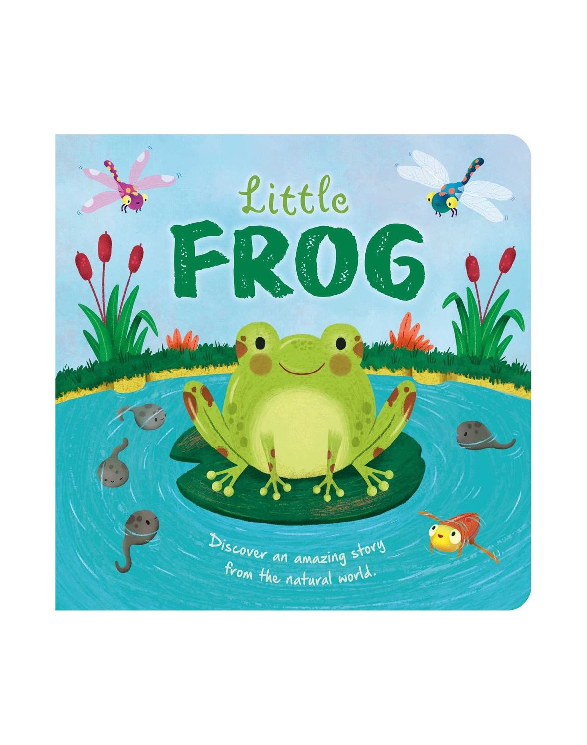 Little Frog Board Book