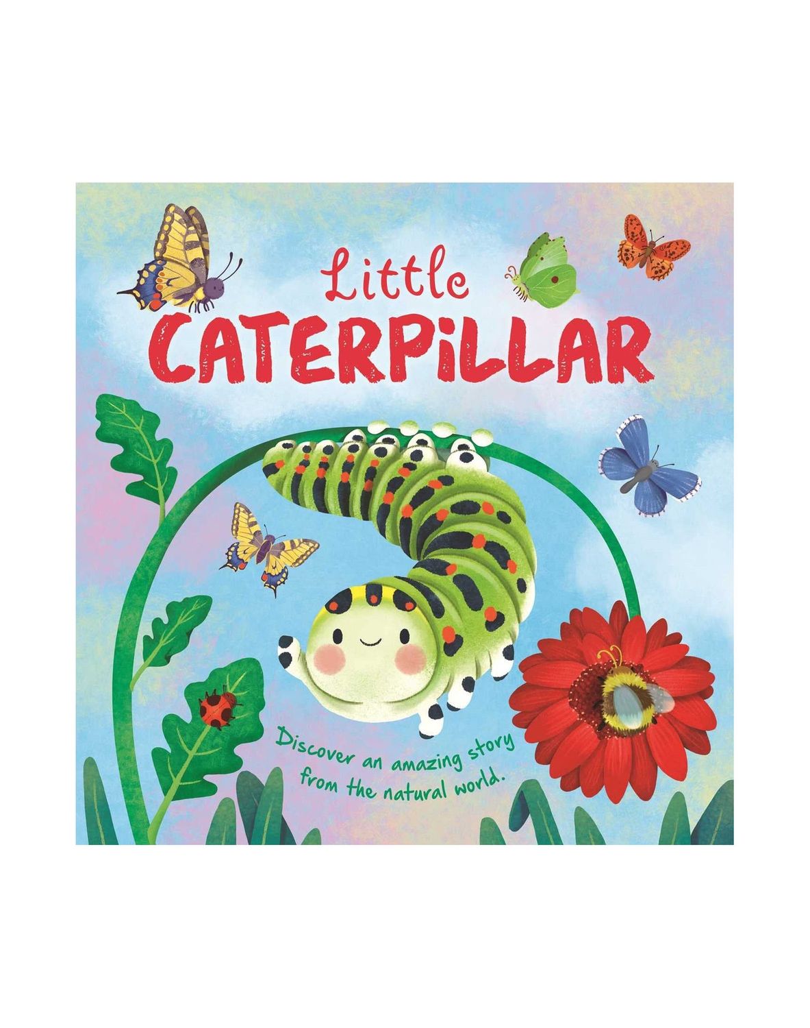 Little Caterpillar Board Book