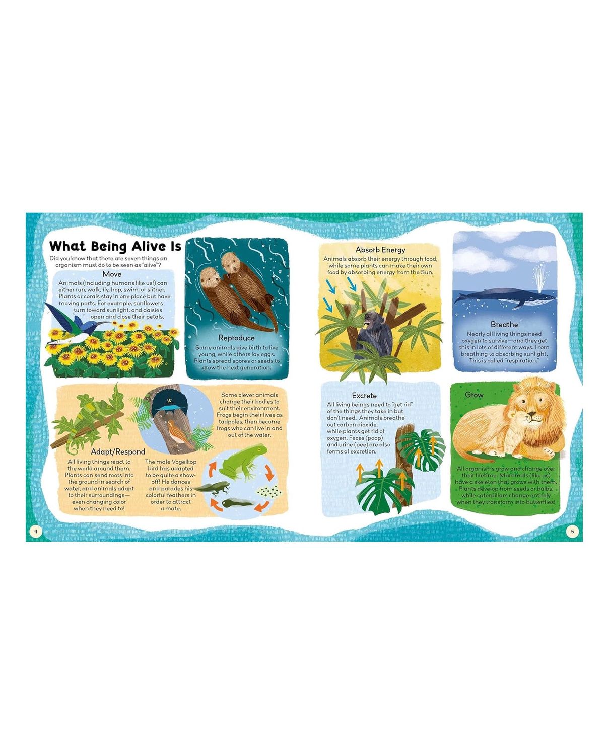 Curiosity Club Natural World Hardcover Book
