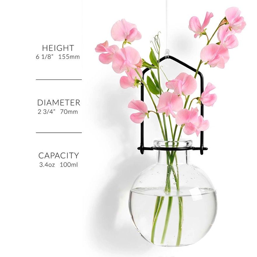 Small Clear Ball Hanging Propagation Vase