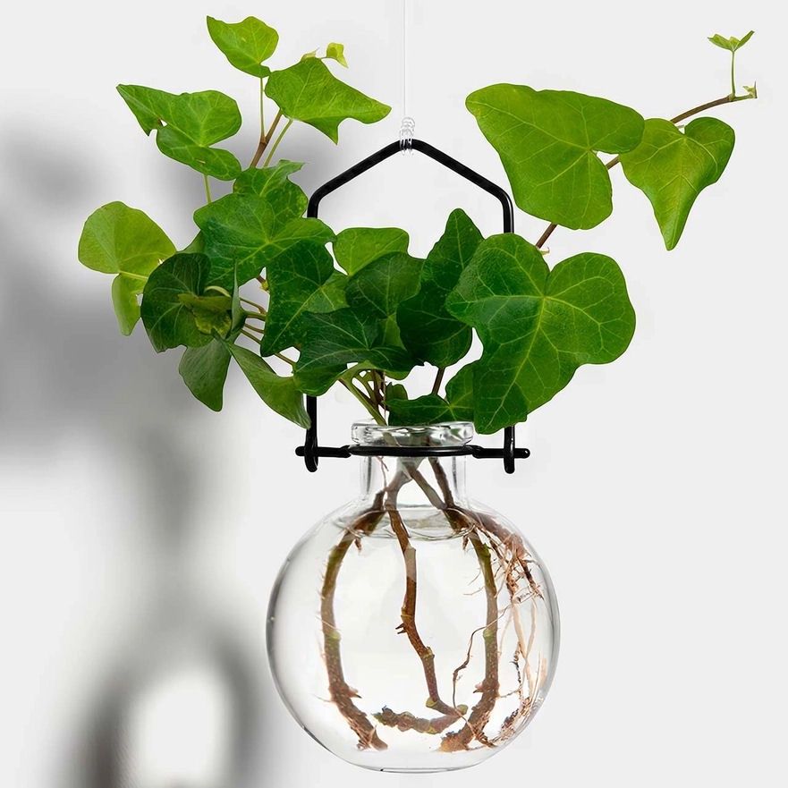 Small Clear Ball Hanging Propagation Vase