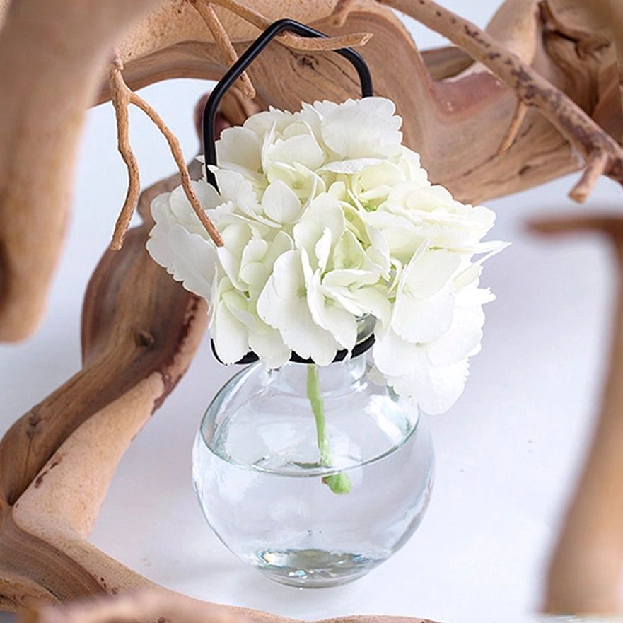 Small Clear Ball Hanging Propagation Vase