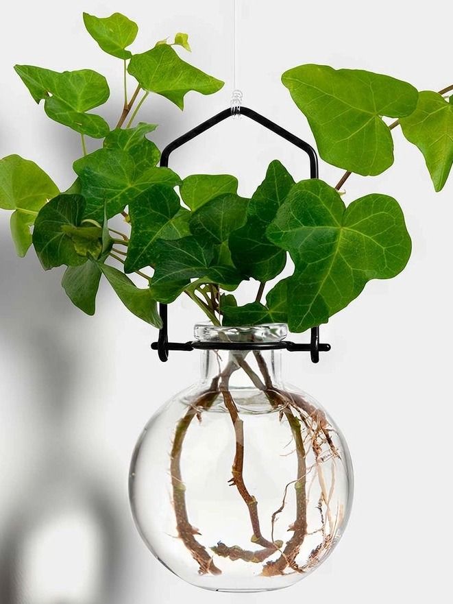 Small Clear Ball Hanging Propagation Vase