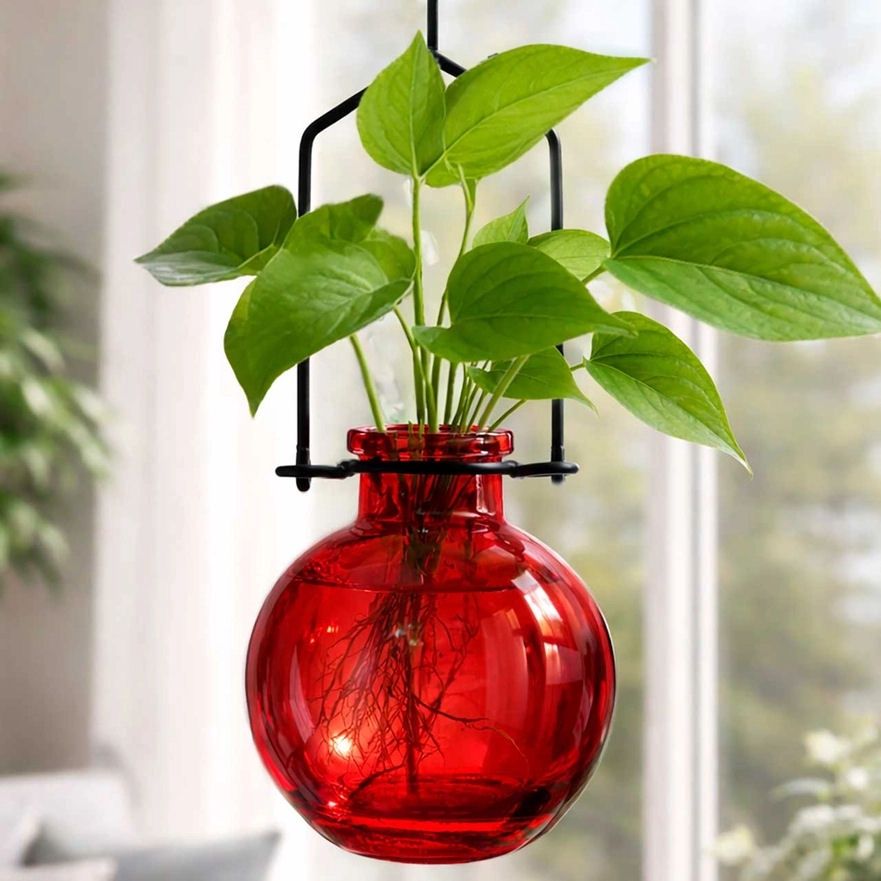 Small Red Ball Hanging Propagation Vase