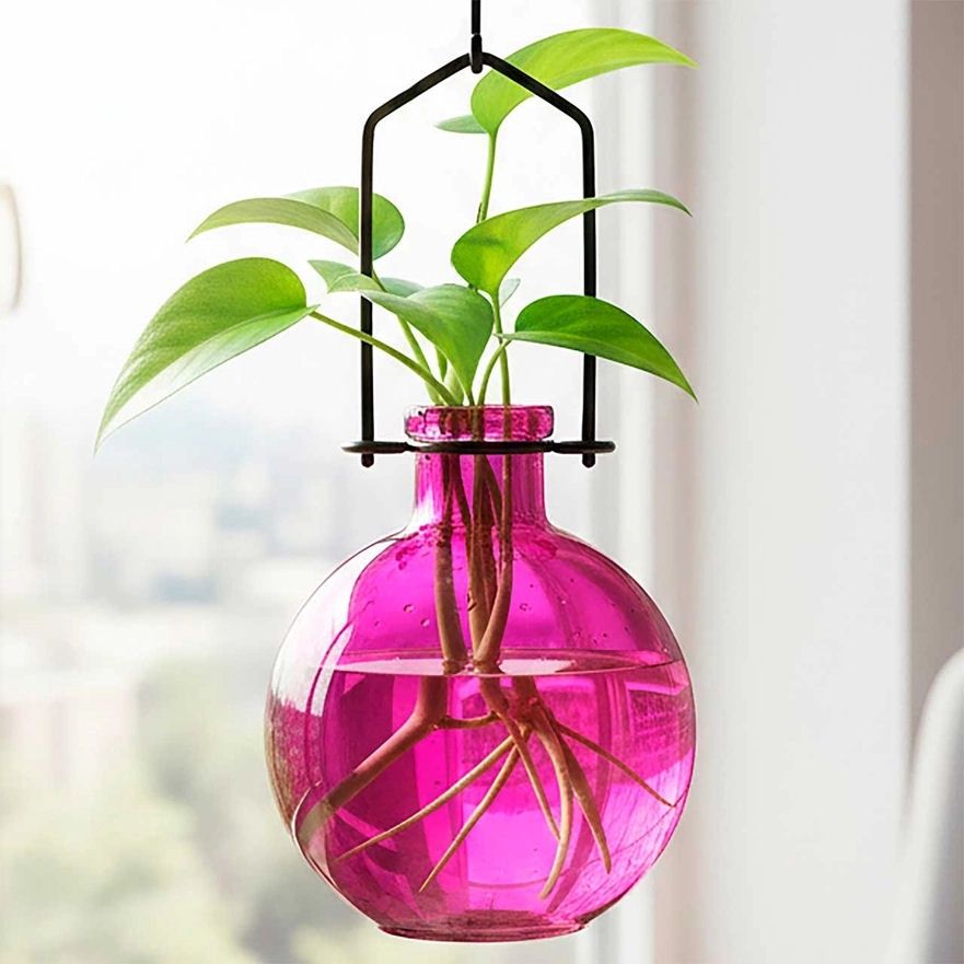 Fuchsia Ball Hanging Propagation Vase