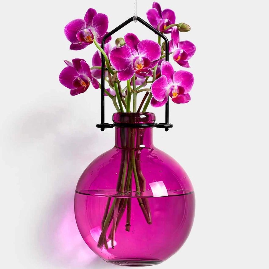 Fuchsia Ball Hanging Propagation Vase