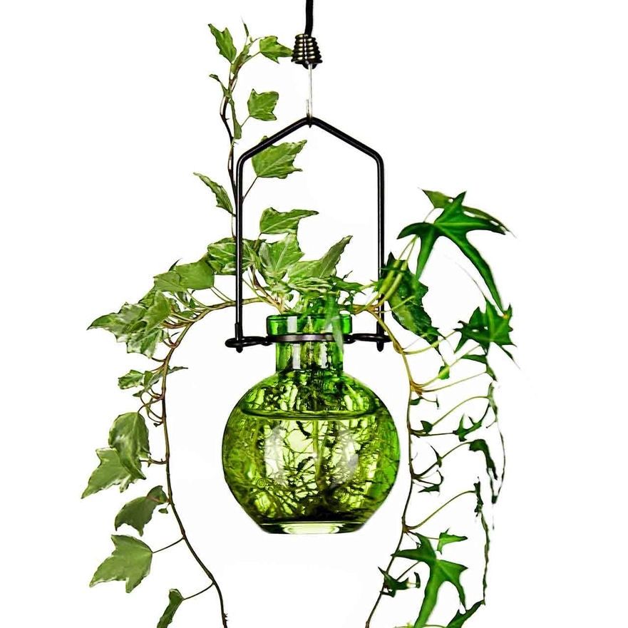 Small Lime Ball Hanging Propagation Vase