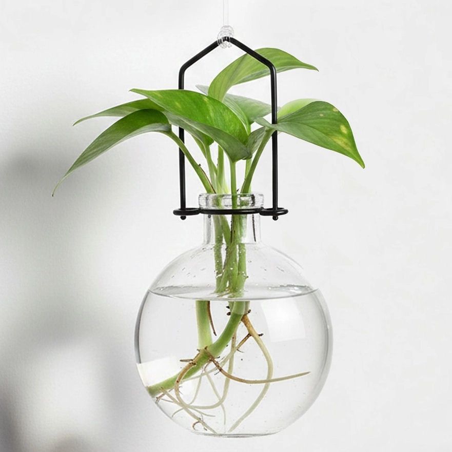 Clear Ball Hanging Propagation Vase