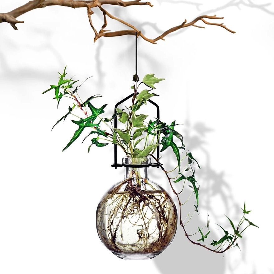 Clear Ball Hanging Propagation Vase